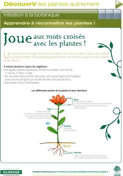 plante mots fléchés|Planté, tous les synonymes.